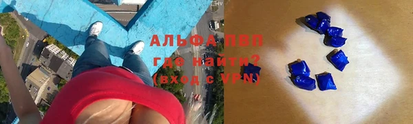 spice Аркадак