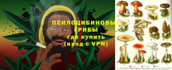 прущий лед Белокуриха