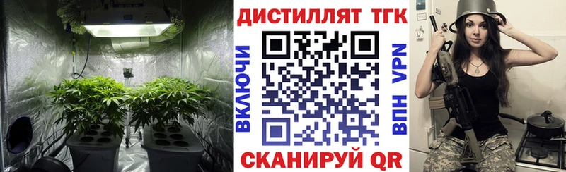 MEGA ссылка  darknet телеграм  Дистиллят ТГК THC oil  Вуктыл 