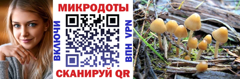 Галлюциногенные грибы мухоморы где продают наркотики Вуктыл