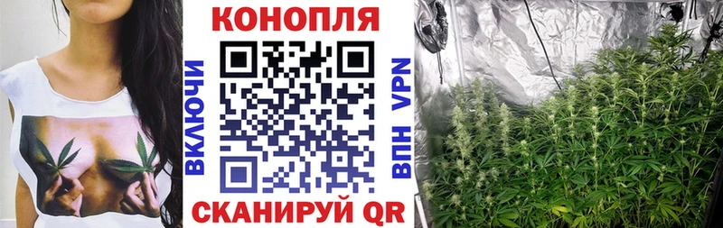 Каннабис SATIVA & INDICA  наркотики  Вуктыл 